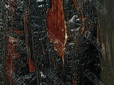 black wood black wood