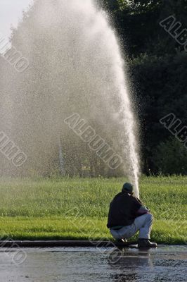 gardener gardener