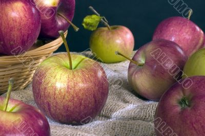 Apple season Apple season