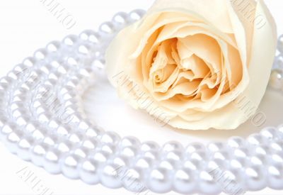 White rose and pearl necklace