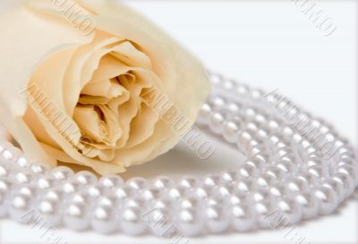 White rose and pearl necklace