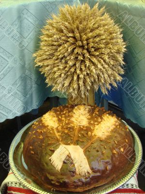 Isolated Ukrainian festive Bread