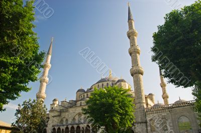 Blue mosque gardens