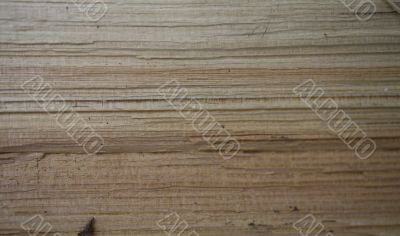 wood background