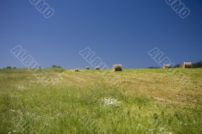 sommer landscape