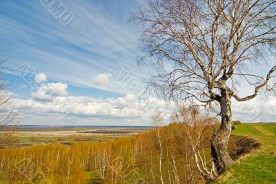 Russian Midlands