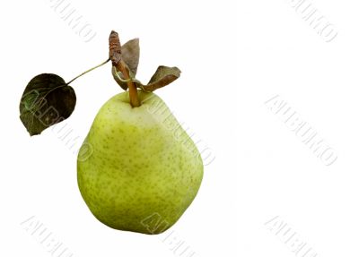 Green pear