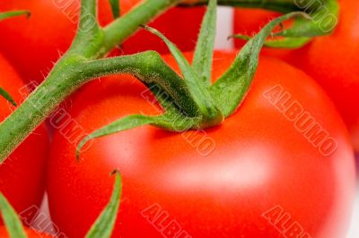 close-up of a red tomato on a stem