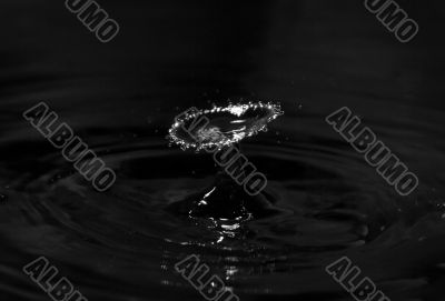 Splash Splash
