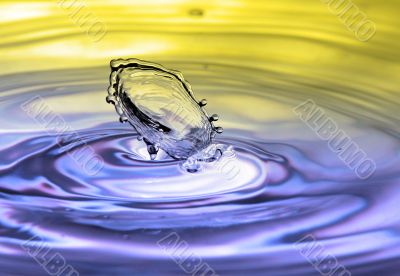 Splash Splash