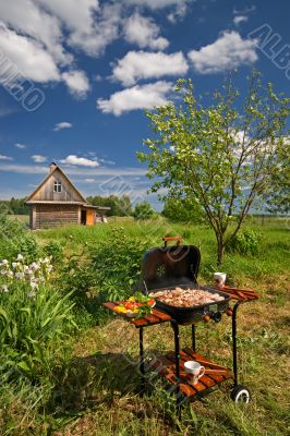 Picnic Barbecue in a Garden