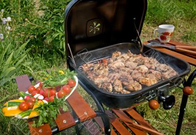 Grilled Meat &amp; Vegetables