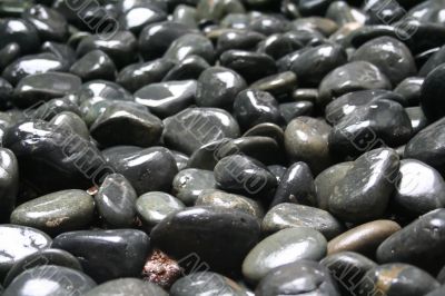 Zen pebbles