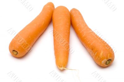 Three carrots