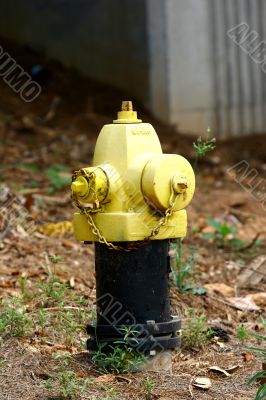 Yellow fire Hydrant