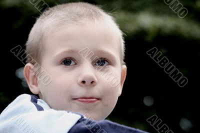 portrait portrait