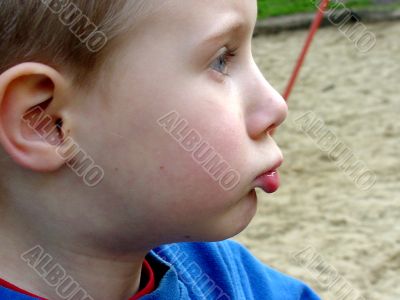 Profile Profile