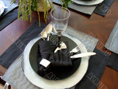 Fancy Place Setting