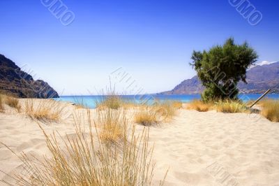 Lonesome Sandy Beach