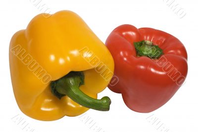 Red and Yellow Pepper w/ Path
