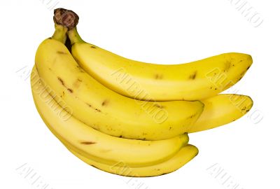 Bunch of Bananas - Path Included
