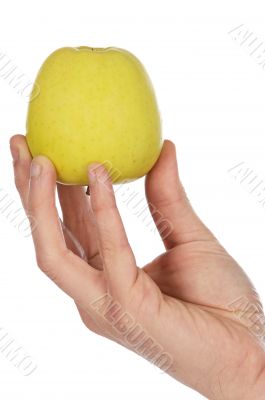 Food heals and low in calorias Food heals and low in calorias