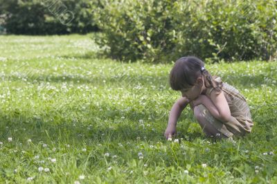 Little girl in meadow