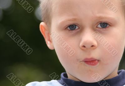 portrait portrait
