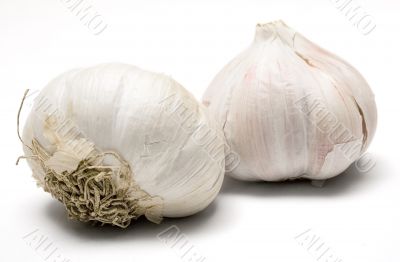 Garlic Bulbs