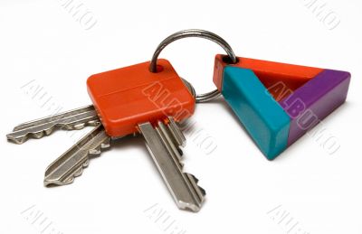 Bunch of Keys w/ Colorful Tag