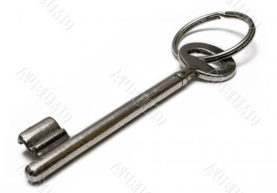 Single Cellar Key w/ Ring