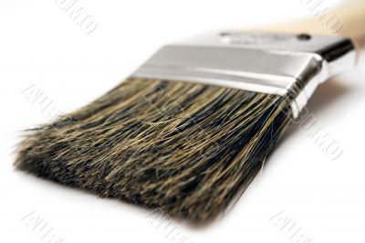 Paint Brush - Close View