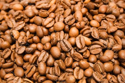 Textures – Coffee Beans - Close Front View