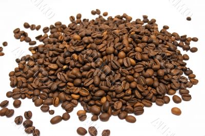Coffee Beans w/ White Background - Top View