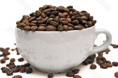 Cup of Coffee Beans