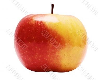 Red-Yellow Apple w/ Path - Side View