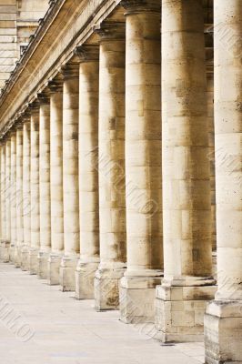 Columns Palais Royal