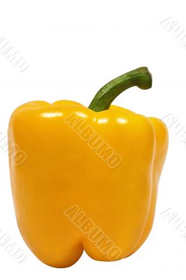 Yellow Pepper w/ Path - Side View