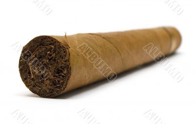 Single Cigar
