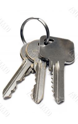 Three Apartment Keys w/ Ring - Front View