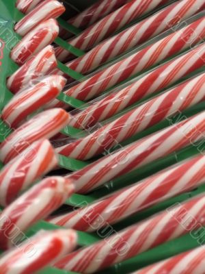 Candy Canes Candy Canes