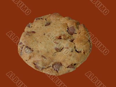 Chocolate chip cookie (isolated)