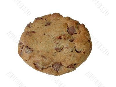 Chocolate chip cookie (isolated)