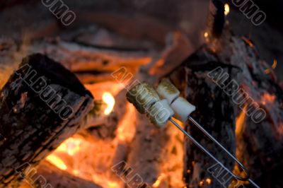 marshmellow marshmellow