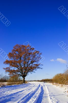 Winter country road