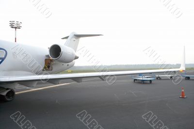 let`s go let`s go