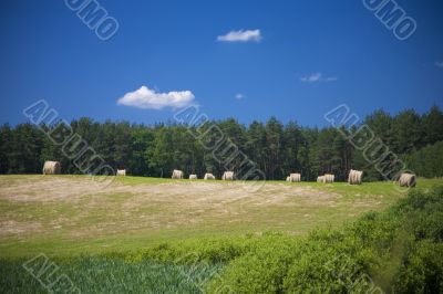 sommer landscape