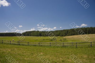 sommer landscape