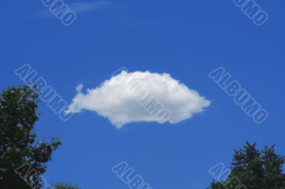 Cloud Cloud