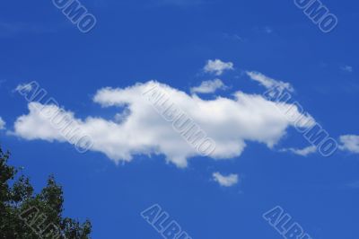 Cloud Cloud